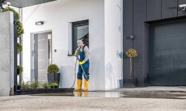 Best Vinyl Siding Pressure Washing in Rockford, MN